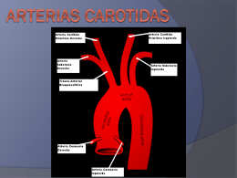 ARTERIAS CAROTIDAS