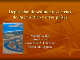 Deposicion de sedimentos en rios de Puerto Rico y