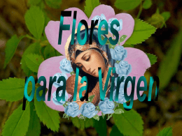 Flores para la Virgen