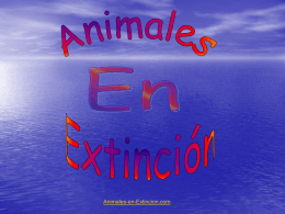 Diapositiva 1 - Animales en Extincion