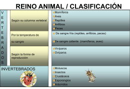 Clasificación de los animales - SII Educa -
