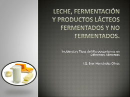 Leche, fermentación y productos lácteos
