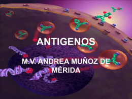 ANTIGENOS - Avindustrias Guatemala