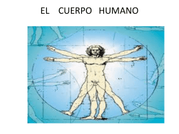 EL CUERPO HUMANO