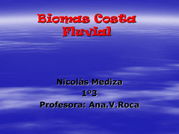Biomas Costa Fluvial - Liceoweblog`s Weblog