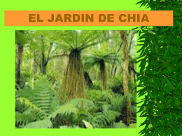 EL JARDIN DE CHIA