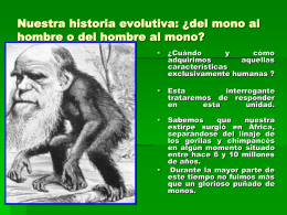 Nuestra historia evolutiva: ¿del mono al hombre o