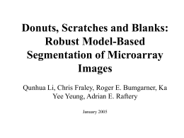 Donuts, Scratches and Blanks: Robust Model