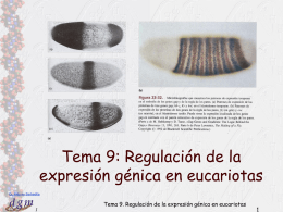 Tema 9. Regulación de la expresión génica en