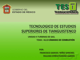 TECNOLOGICO DE ESTUDIOS SUPERIORES DE