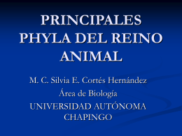 PRINCIPALES FILA DEL REINO ANIMAL