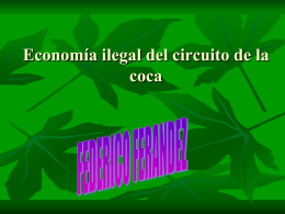 Economía ilegal del circuito del coca