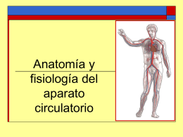 Tema 5: Anatomía y fisiología del aparato