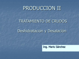 TRATAMIENTO DE CRUDOS - Producción II | Diseñado