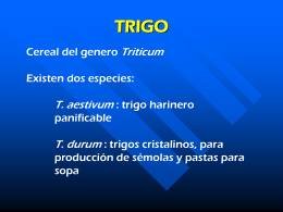 TRIGO - Páginas Web Educativas :: Inicio