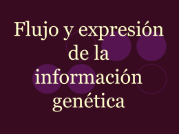 Flujo y expresión de la información genética -