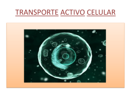 TRANSPORTE ACTIVO CELULAR - Biología 100 -
