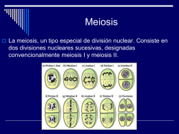 Ciclo Celular: Mitosis y Meiosis