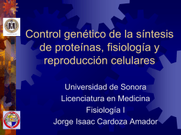 Control genético de la síntesis de proteínas,