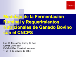 CNCPS: A Model for Evaluation of Requirements