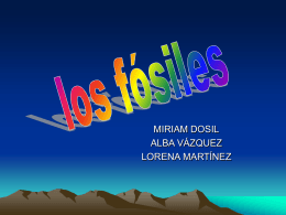 LOS FOSILES - Bioloxía e Xeoloxía 4º ESO