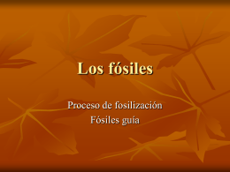 Los fósiles - I.E.S. HOCES DEL DURATÓN
