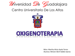Universidad De Guadalajara Centro Universitario De