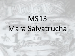 MS13 – Mara Salvatrucha