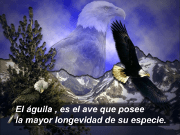 El Aguila - C