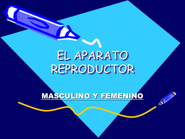 EL APARATO REPRODUCTOR -