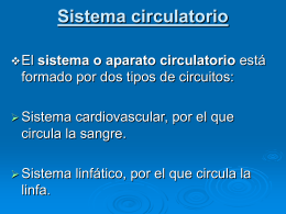 Sistema circulatorio - Salud | Este es un aporte