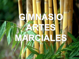 GIMNASIO ARTES MARCIALES
