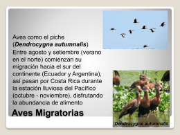 Aves Migratorias