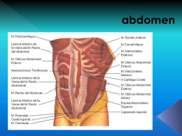 abdomen - Fisioterapia