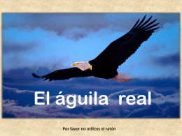 El águila real