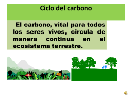Ciclo del carbono - Cienciasmariolv`s Weblog