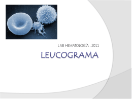 LEUCOGRAMA - qbhematologia