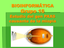 BIOINFORMÁTICA Grupo 16 Estudio del gen PAX6