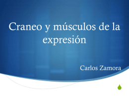 Craneo y músculos de la expresión