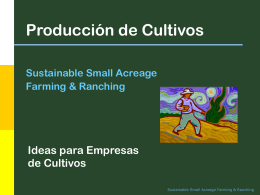 Crop Production Ideas