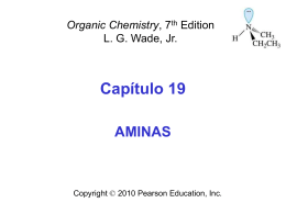 Chapter 19 Amines
