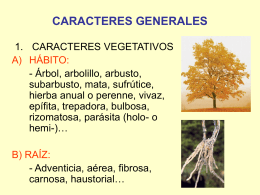 CARACTERES GENERALES - Universidad Autónoma de