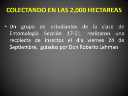 COLECTANDO EN LAS 2000 HECTAREAS