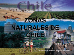 ZONAS NATURALES DE CHILE - Chile y sus Relieves |