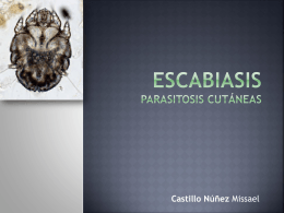 Escabiasis parasitosis cutáneas -