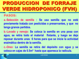 HIDROPONIA - UPCH - Universidad Peruana Cayetano