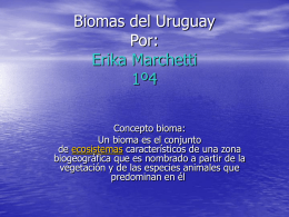 Biomas del Uruguay Erika Marchetti Costa fluvial o