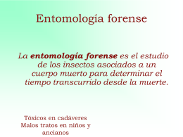 La entomología forense es el estudio de los