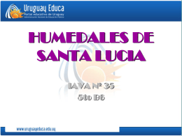 HUMEDALES DE SANTA LUCIA