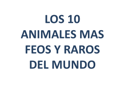 Animales Raros www.albelda.info